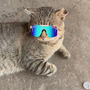 Meet your Posher, Alejandro